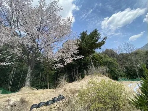 Propiedad 6DK Ciudad de Hiroshima Prefectura de Hiroshima (19)