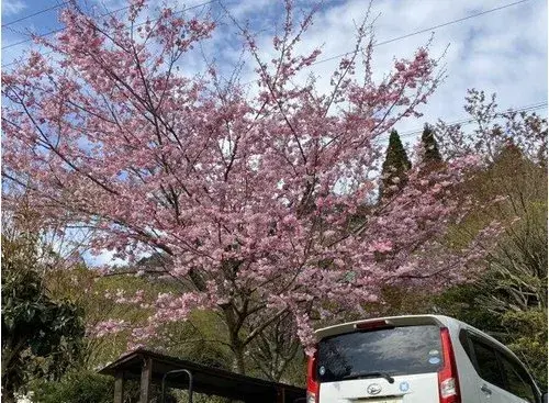 2LDK+S 南阿苏村 熊本县 (18)