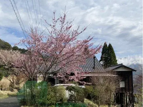 2LDK+S 南阿苏村 熊本县 (3)
