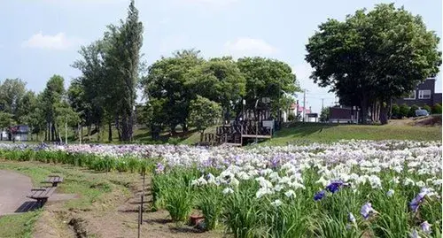 4LDK+S Property Iwamizawa City Hokkaido (8)