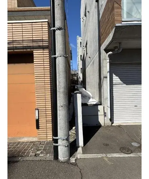 عقار 10LDK Sapporo City Hokkaido (6)