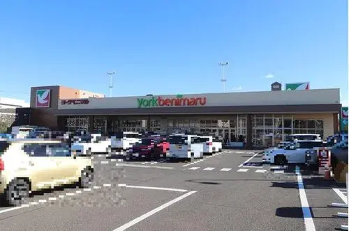 4LDK Property Sendai City Miyagi Prefecture (12)