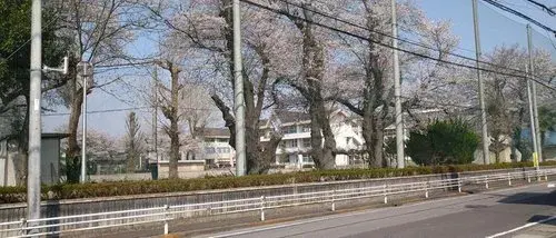 3LDK+S 宇都宮市 栃木県 (9)