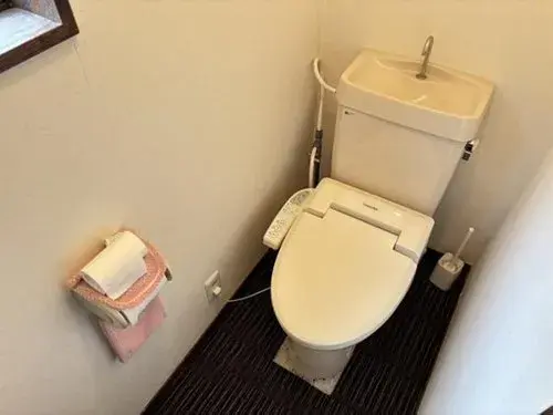 4LDK Property Sanmu City Chiba Prefecture (14)