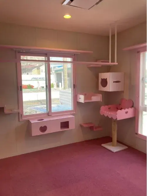 Akiya in Matsudo
