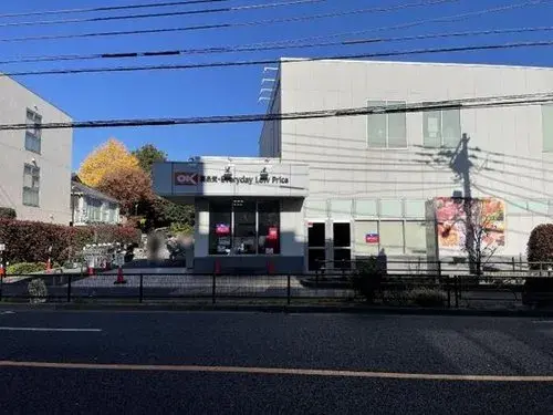4LDK+S Property Suginami Ward Tokyo (8)