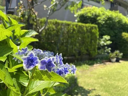 5LLDDKK+S Property Machida City Tokyo Prefecture (26)