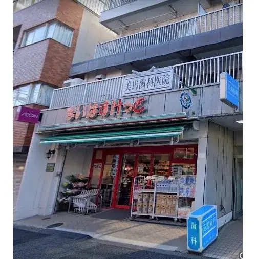 3LDK Shinagawa-ku Tokyo (7)