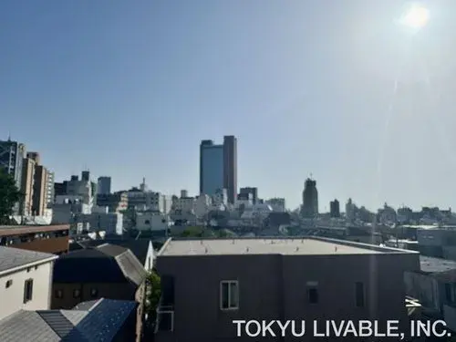 2LDK+S Propriété Arrondissement de Setagaya Préfecture de Tokyo (11)