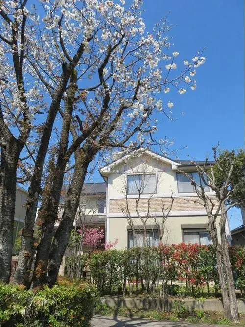 4LDK Property Hino City Tokyo (12)