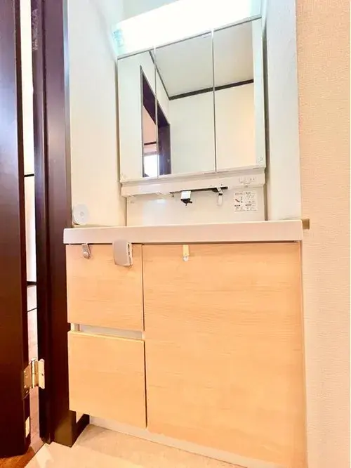 Tokyo Katsushika-ku 1LDK+2S Residence (13)