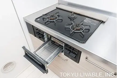 Недвижимость 2LDK+S город Кавасаки префектуры Канагава (15)