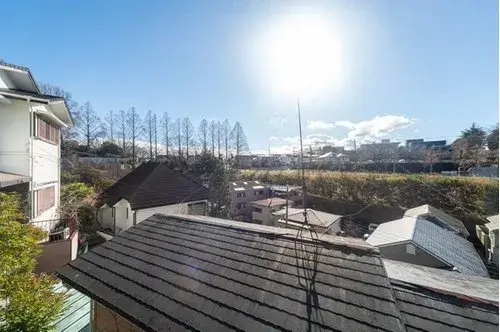 3LDK Property Kawasaki City Kanagawa Prefecture (5)
