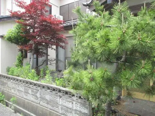 عقار 7DK مدينة Niigata محافظة Niigata (4)