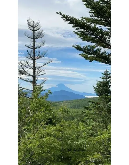 3室2厅1厨+储藏室 南牧村 长野县 (24)