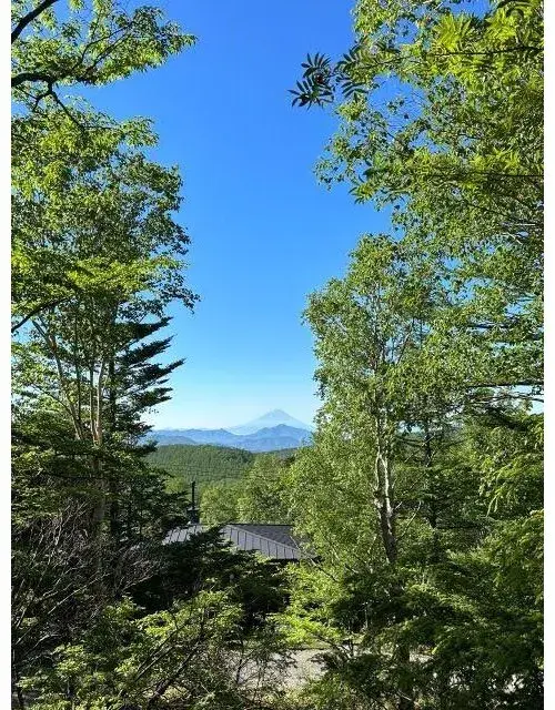 3室2厅1厨+储藏室 南牧村 长野县 (26)