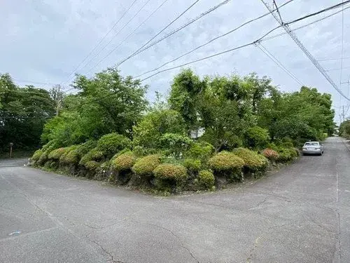 7LDK 伊東市 静岡県 (4)
