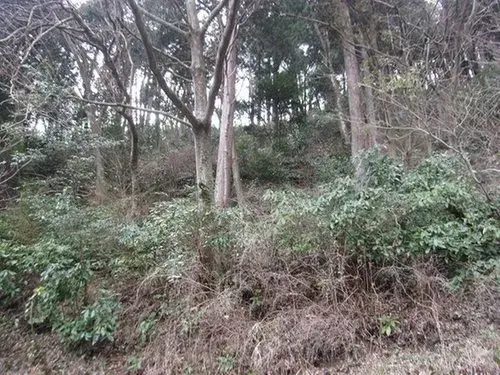 2LDK物件 熱海市 静岡県 (12)