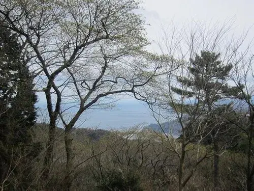 2LDK物件 熱海市 静岡県 (10)