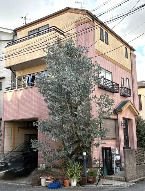 3LDK房源 松原市 大阪府 (2)