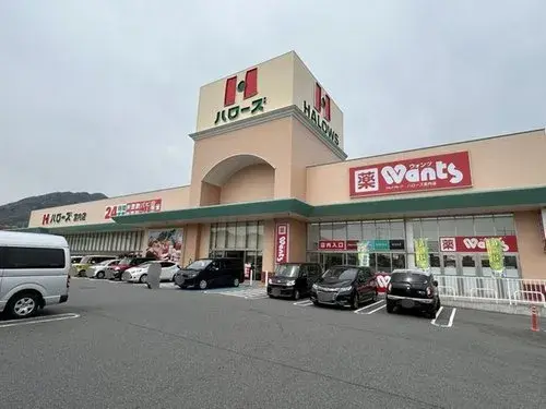 4LDK Property Hatsukaichi City Hiroshima Prefecture (5)