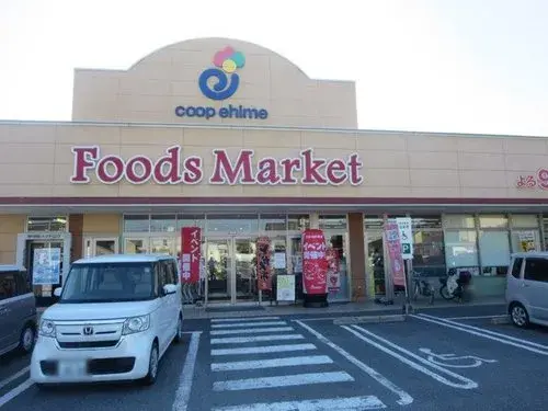 5LDK Property Matsuyama City Ehime Prefecture (9)