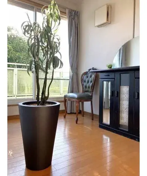 3LDK Property Oita City Oita Prefecture (10)