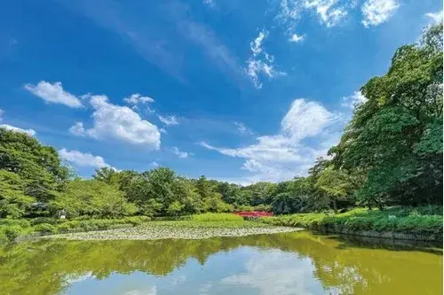 3LDK+S Saitama City Iwatsuki Ward Saitama Prefecture Property (18)