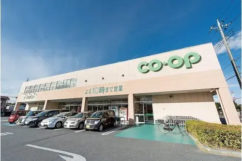 3LDK+S Saitama City Iwatsuki Ward Saitama Prefecture Property (19)