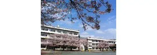 4LDK房产 所泽市 埼玉县 (19)