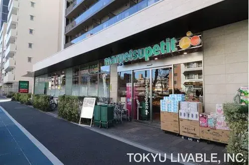 5LDK Property Meguro Ward Tokyo (9)
