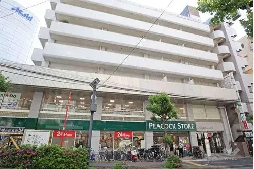 4LDK Property Shibuya Ward Tokyo (20)