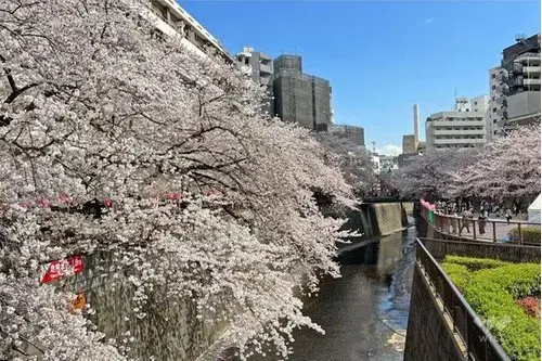 4LDK Property Shibuya Ward Tokyo (25)