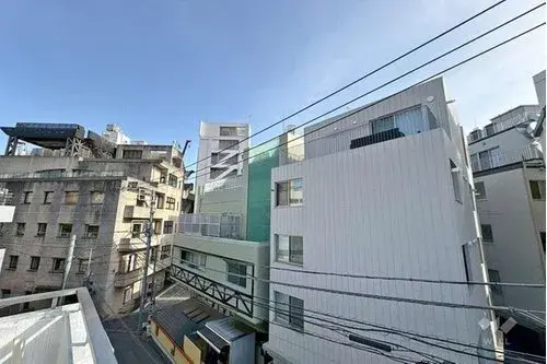 4LDK Property Shibuya Ward Tokyo (6)