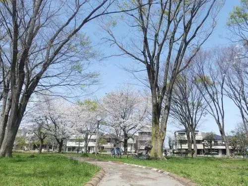 3LDK+S Property Kawasaki City Kanagawa Prefecture (10)