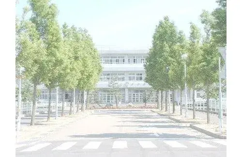 2LDK物件 新潟市 新潟県 (13)