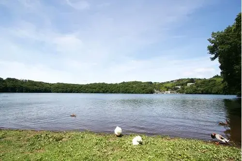 2LDK物件 伊東市 静岡県 (15)