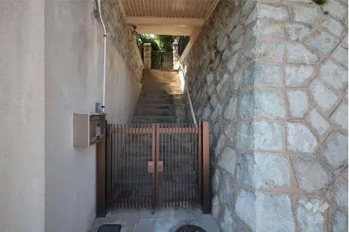 Slide 5