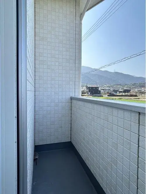 爱媛县四国中央市4LDK房产 (13)