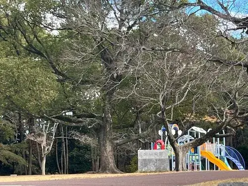 Propiedad 4LDK Ciudad de Oita Prefectura de Oita (18)