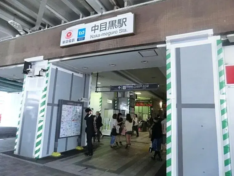 4LDK Meguro Ward Tokyo Property (3)