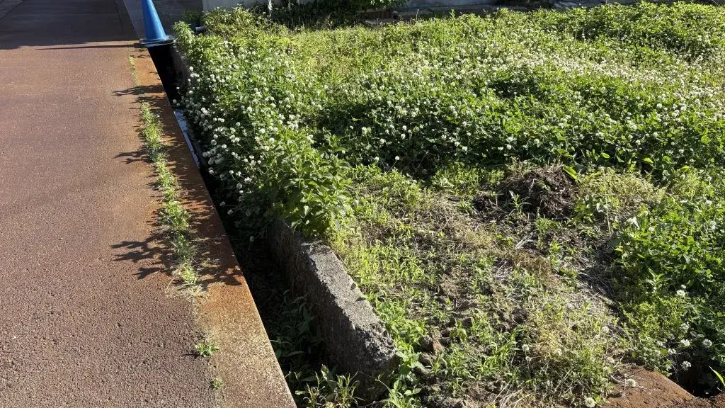 Land Plot Sanjo City Niigata Prefecture (4)