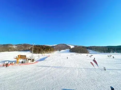 3LDK Fukagawa City Hokkaido Property (19)
