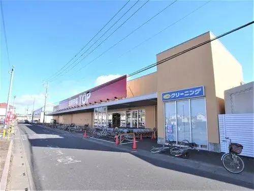3LDK Property Ina Town Saitama Prefecture (18)