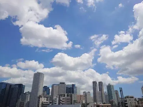 7LLDDKK Property Nakano Ward Tokyo (17)