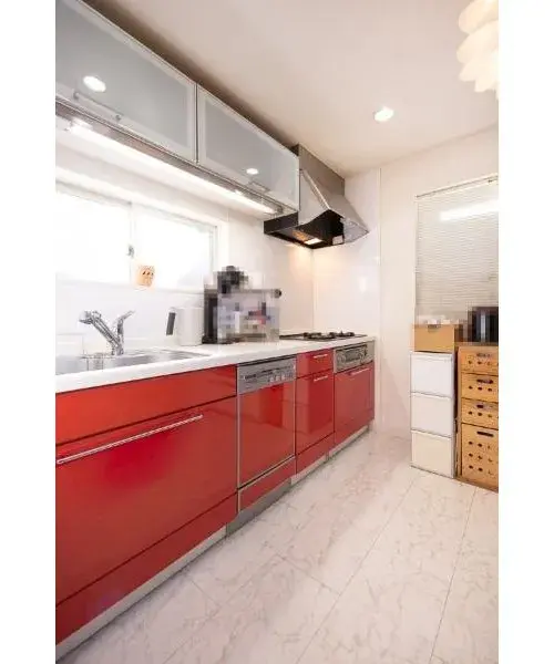2LDK+S Property Koto Ward Tokyo (16)
