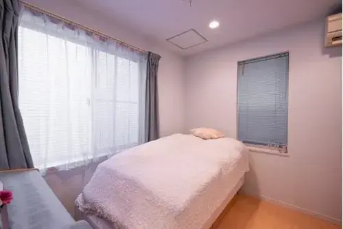 2LDK+S Property Koto Ward Tokyo (9)