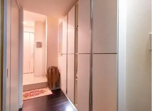 2LDK+S Property Koto Ward Tokyo (10)