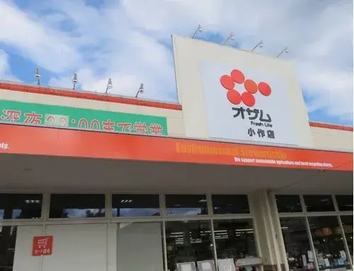 1LDK+S Property Hamura City Tokyo (18)