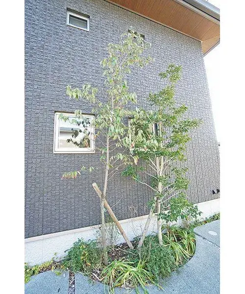 2LDK Property Hadano City Kanagawa Prefecture (27)
